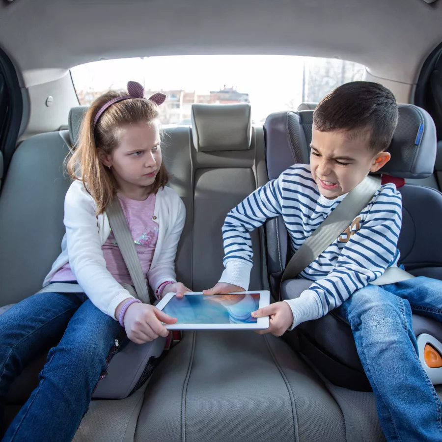 Children fighting in the back of the car